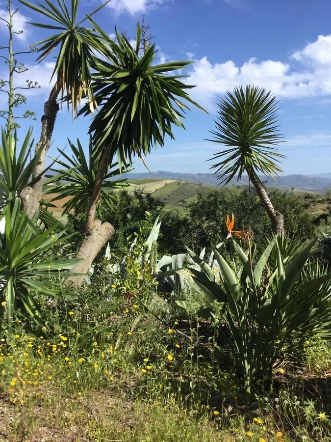 Prázdninový dům Cortijo Las Palmeras El Chorro Alora Španělsko